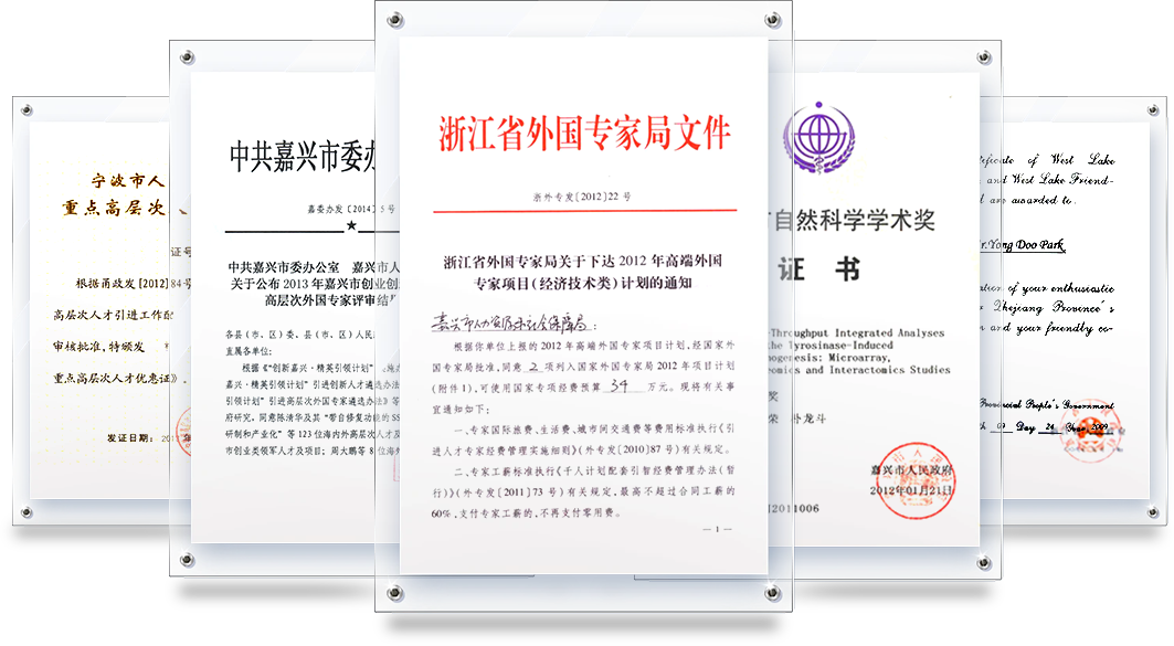 证书1